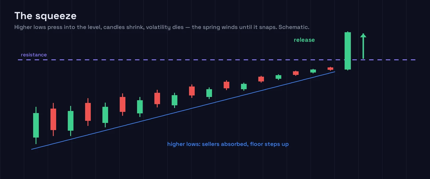 Diagram of a squeeze: candles shrinking as price presses into a resistance level, each low higher than the last, compressing into the corner until the break releases upward.
